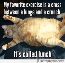 Image result for funny fat exercise